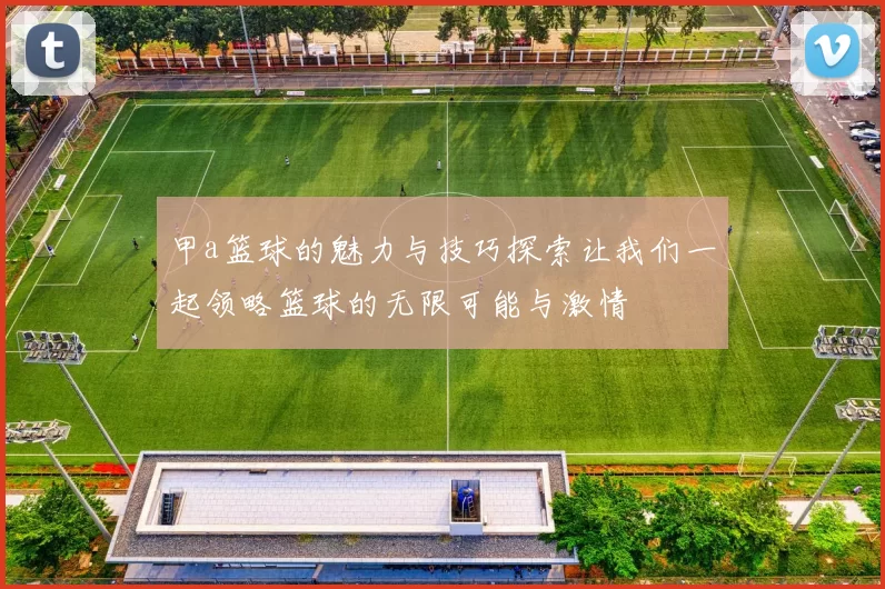 甲a篮球的魅力与技巧探索让我们一起领略篮球的无限可能与激情