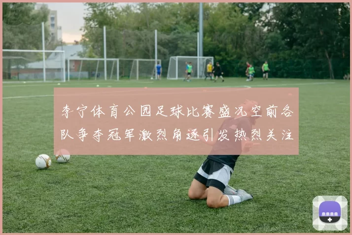 李宁体育公园足球比赛盛况空前各队争夺冠军激烈角逐引发热烈关注